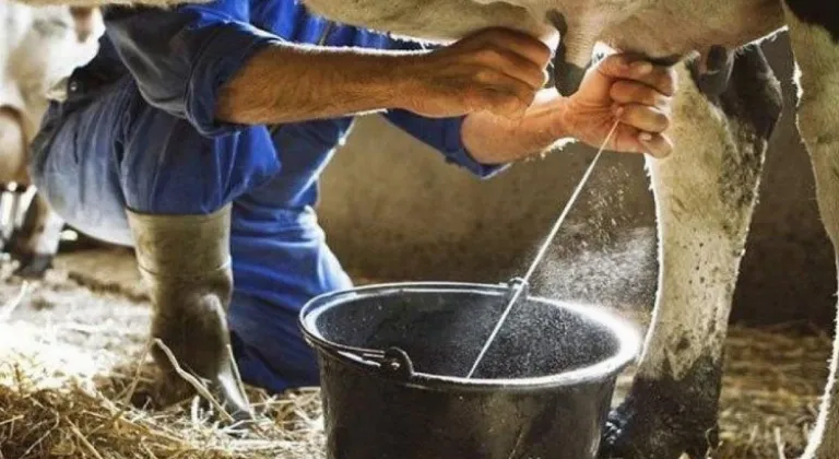 Süt ve Süt Ürünleri Üretiminde Şubat Ayında Büyük Artış
